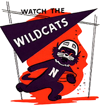 Northwestern Wildcats 1967-1977 Alternate Logo iron on paper